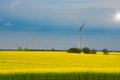 Field covered in yellow flowers with windmills under a blue cloudy sky on the background Royalty Free Stock Photo