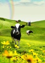 Field and cow Royalty Free Stock Photo