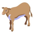 Field cow icon, isometric style