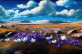 a field of crocus blooming in springtime, with a clear blue sky and fluffy clouds Royalty Free Stock Photo