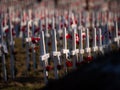 Field of Crosses for the Fallen