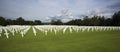 Field of crosses at the Henri Chapelle american cemetary