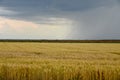 Fields under the storm