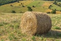 Field With Cylindrical Bales Of Hay, In A Sunny Day.