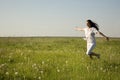 Field of dandelions Royalty Free Stock Photo