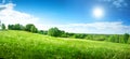 Field with dandelions and blue sky Royalty Free Stock Photo