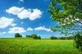 Field with dandelions and blue sky Royalty Free Stock Photo