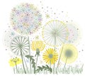 Vector decorative floral illustration of dandelions. Royalty Free Stock Photo