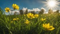 field of dandelions a spring summer scene with green grass, yellow flowers, and a branch with leaves in front of a blue Royalty Free Stock Photo