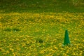 Field Day Playing Field Green Cone Royalty Free Stock Photo