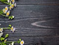 Field delicate flowers on a dark wooden background, copyspace