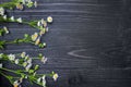 Field delicate lilac flowers on a dark wooden background