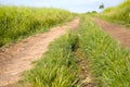 Field dirt road