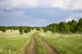 Field dirt road among fields and young growth of birches under low thunderclouds. Travel concept by bike or on foot Royalty Free Stock Photo