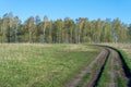 Field dirt road among fields and young growth of birches under low thunderclouds. Travel concept by bike or on foot Royalty Free Stock Photo