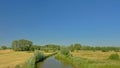 Field with ditch with reed and trees in Kalkense Meersen nature reerve, Flanders, Belgium