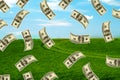 Field and dollars Royalty Free Stock Photo