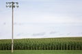 Field of Dreams Royalty Free Stock Photo