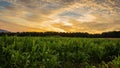 Field of dreams Royalty Free Stock Photo