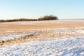 The Field with dry grass covered with first snow. Rural landscape. Early misty morning in the field Royalty Free Stock Photo