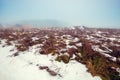 Field with dry grass covered with the first snow Royalty Free Stock Photo