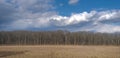 Field with dry grass, forest, sky with clouds Royalty Free Stock Photo
