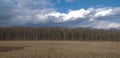 Field with dry grass, forest, sky with clouds Royalty Free Stock Photo