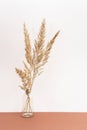 Field dry spikelets and herbs in vases on a light pink and brown background.
