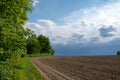 Field in spring Royalty Free Stock Photo