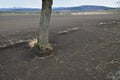 Field endangered by wind erosion