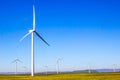 Field Of Energy Producing Windmills With Mountains Royalty Free Stock Photo