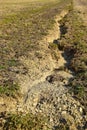 Field erosion Royalty Free Stock Photo