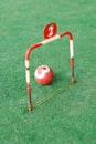 Croquet game Royalty Free Stock Photo
