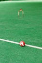 Croquet game Royalty Free Stock Photo