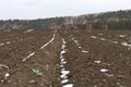 A field with fertile soil covered with first snow and green plants for agricultural work on a forest autumnal scenic background.