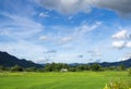 Field of fesh green rice with cloud and blue sky in nature landscape