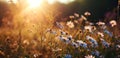 a field filled with colorful flowers with sunlight behind them