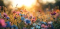 a field filled with colorful flowers with sunlight behind them