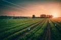 field filled with sensors, artificial intelligent farming with networks and radars. drones and agriculture