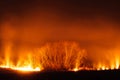 Field on Fire orange glow against the black sky