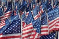 Field of Flags