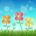 Field of flower fresh spring on blue background with bokeh Royalty Free Stock Photo