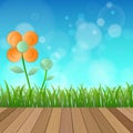 Field of flower fresh spring on blue background with plank wood Royalty Free Stock Photo