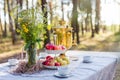 Field flowers bouquet with fresh apples, some snacks, russian samovar, cups outdoor