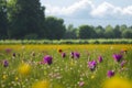 A field flowers with green mountains in the background generated by ai