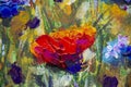 Field of flowers Impressionism modern oil painting - red flowers poppies blue flowers of cornflowers close-up illustration.