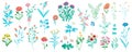 Field flowers mega set in cartoon graphic design. Bundle elements of chamomile, cornflower, poppy, bluebell, daisy and other Royalty Free Stock Photo
