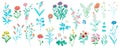 Field flowers mega set in cartoon graphic design. Vector illustration Royalty Free Stock Photo