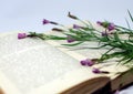 A field flowers on an open book. Still life with an open book of Honore de Balzac.