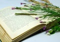 A field flowers on an open book. Still life with an open book of Honore de Balzac.
